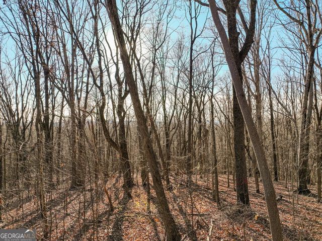LOT 4 Mount Mincie Road, Murrayville, GA 30564