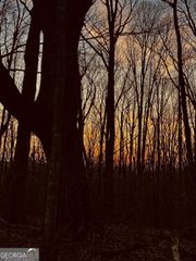 LOT 4 Mount Mincie Road, Murrayville, GA 30564