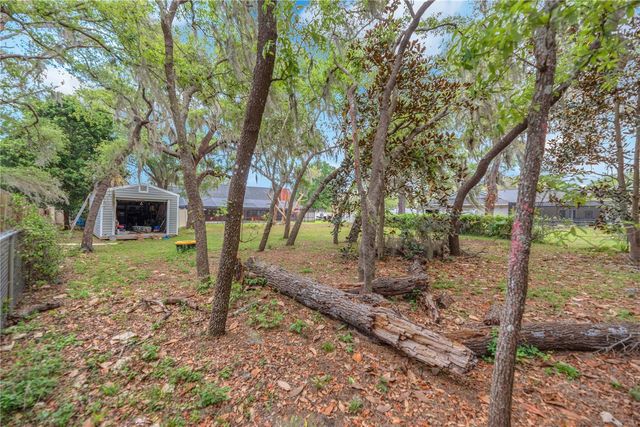 11209 DONNEYMOOR DRIVE, Riverview, FL 33569