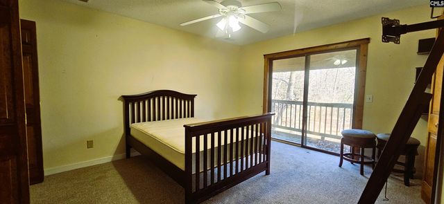 104 Pebble Creek Road, Chapin, SC 29036