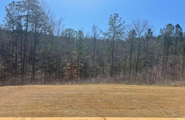 518 Lee Road 2192, Cusseta, AL 36852