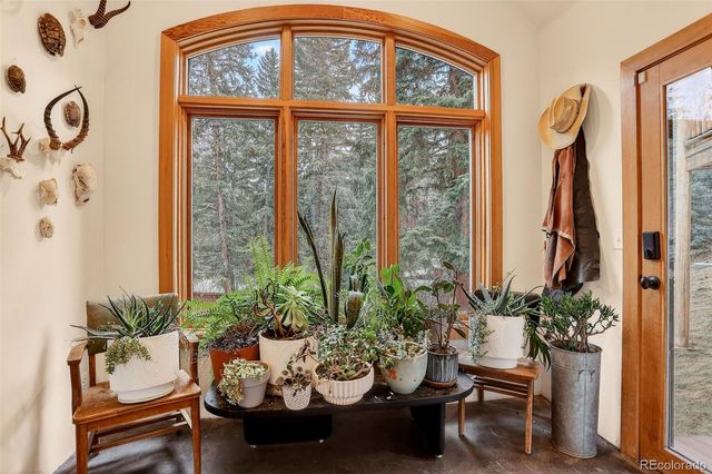 24844 N Turkey Creek Road, Evergreen, CO 80439