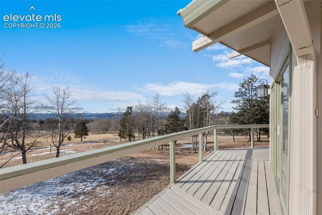 1874 Vagabond Creek Drive, Lake George, CO 80827