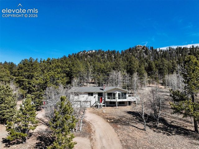 1874 Vagabond Creek Drive, Lake George, CO 80827