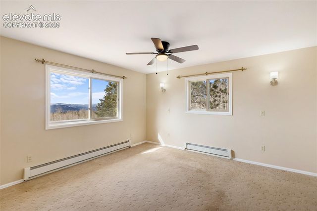 1874 Vagabond Creek Drive, Lake George, CO 80827