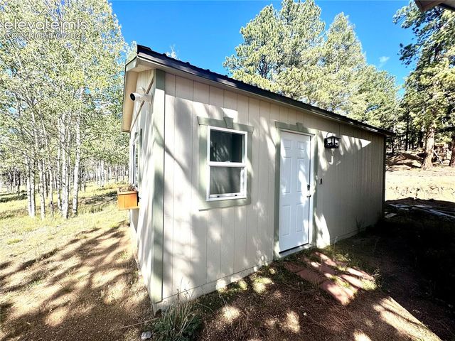 1874 Vagabond Creek Drive, Lake George, CO 80827