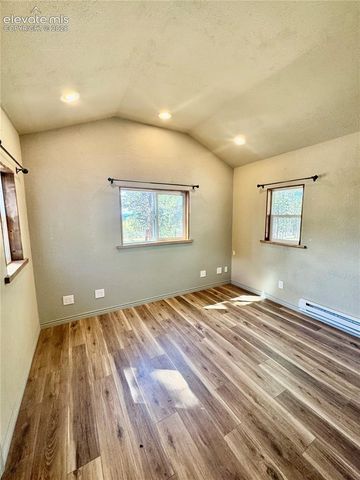 1874 Vagabond Creek Drive, Lake George, CO 80827