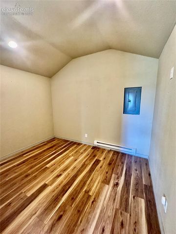 1874 Vagabond Creek Drive, Lake George, CO 80827