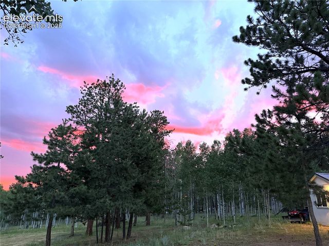 1874 Vagabond Creek Drive, Lake George, CO 80827