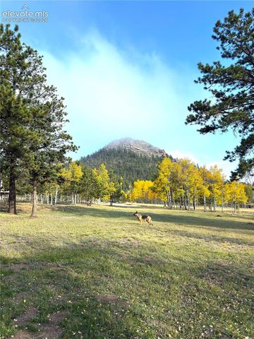 1874 Vagabond Creek Drive, Lake George, CO 80827