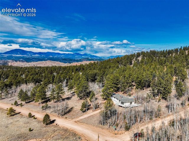 1874 Vagabond Creek Drive, Lake George, CO 80827