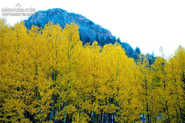1874 Vagabond Creek Drive, Lake George, CO 80827