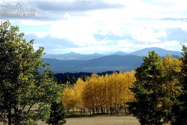 1874 Vagabond Creek Drive, Lake George, CO 80827