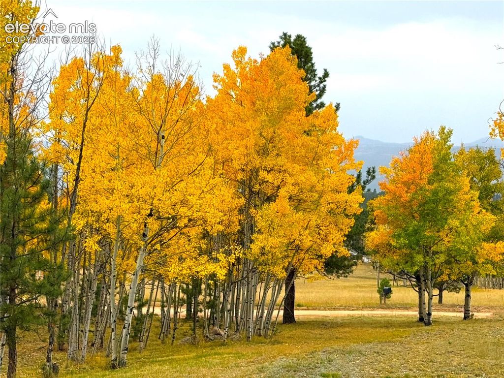 1874 Vagabond Creek Drive, Lake George, CO 80827 — photo 3