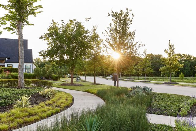 9484 Basket Grass Lane, Frisco, TX 75035