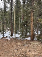 2763 N Mountain Estates Road, Florissant, CO 80816