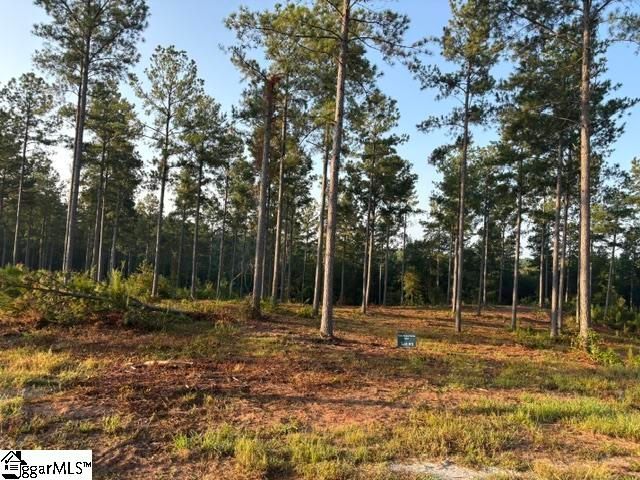 336 Berry Road, Pelzer, SC 29669