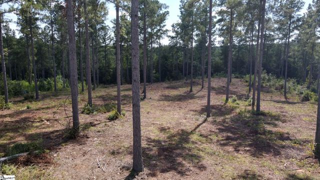 336 Berry Road, Pelzer, SC 29669