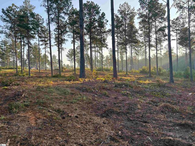 336 Berry Road, Pelzer, SC 29669