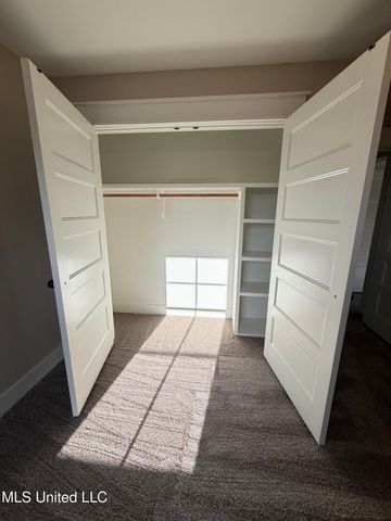 4291 S Bolivar Trail, Olive Branch, MS 38654