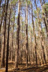 7023 Southern Trail, Chapel Hill, NC 27516