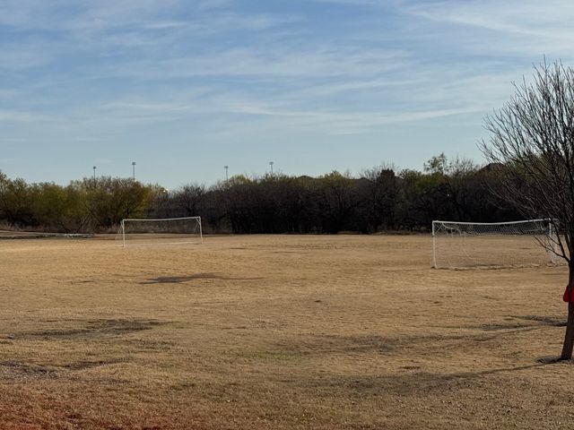 16133 Plum Court, Prosper, TX 75078