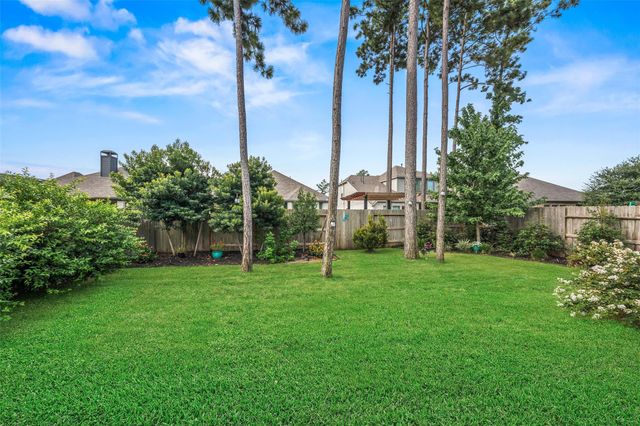 15718 Autumn Sun Court, Conroe, TX 77302