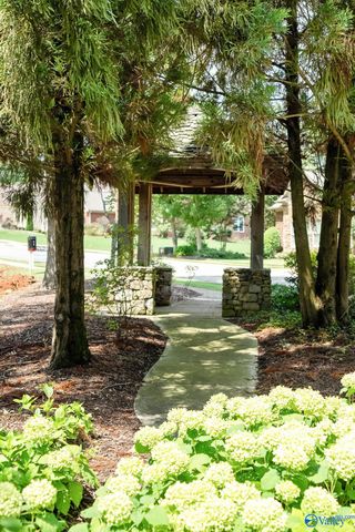 19 Acres Hawks Way, Huntsville, AL 35811