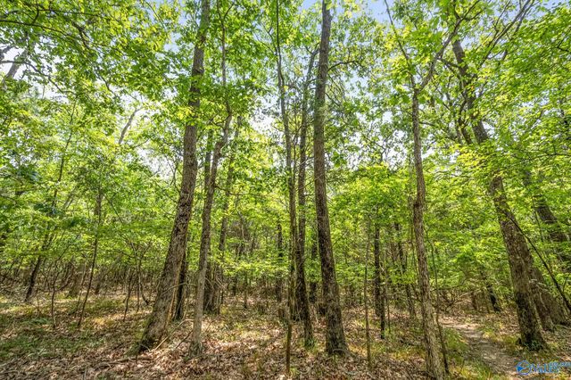 19 Acres Hawks Way, Huntsville, AL 35811