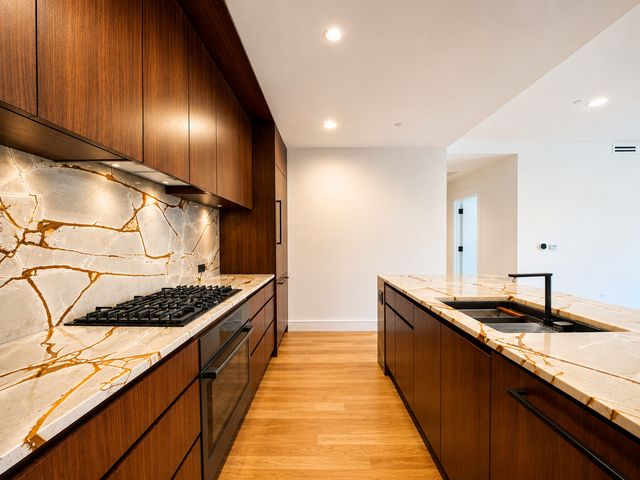 415 E North Water Street 2701, Chicago, IL 60611