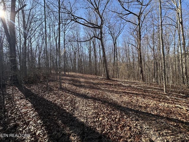 1453 Pickett Park Hwy, Jamestown, TN 38556