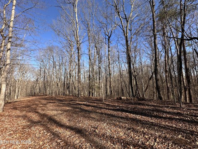 1453 Pickett Park Hwy, Jamestown, TN 38556