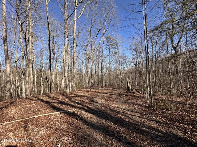 1453 Pickett Park Hwy, Jamestown, TN 38556