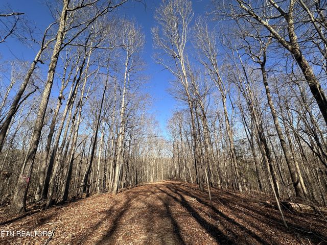 1453 Pickett Park Hwy, Jamestown, TN 38556