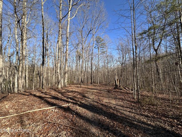 1453 Pickett Park Hwy, Jamestown, TN 38556