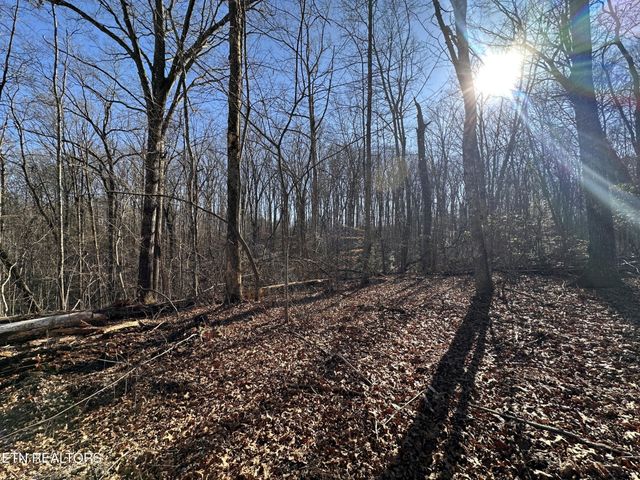 1453 Pickett Park Hwy, Jamestown, TN 38556