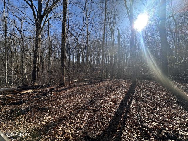 1453 Pickett Park Hwy, Jamestown, TN 38556