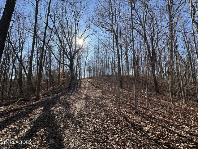 1453 Pickett Park Hwy, Jamestown, TN 38556