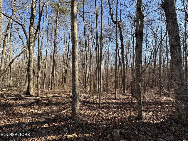 1453 Pickett Park Hwy, Jamestown, TN 38556