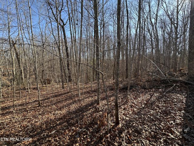 1453 Pickett Park Hwy, Jamestown, TN 38556