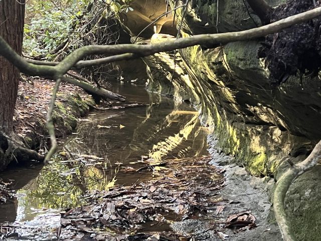 1453 Pickett Park Hwy, Jamestown, TN 38556