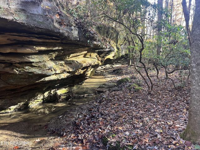 1453 Pickett Park Hwy, Jamestown, TN 38556