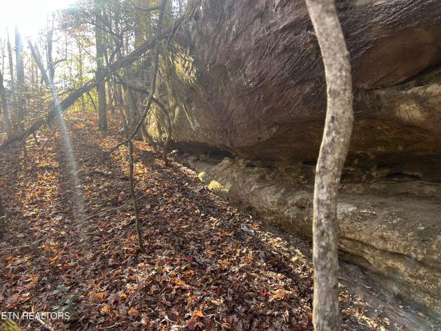 1453 Pickett Park Hwy, Jamestown, TN 38556