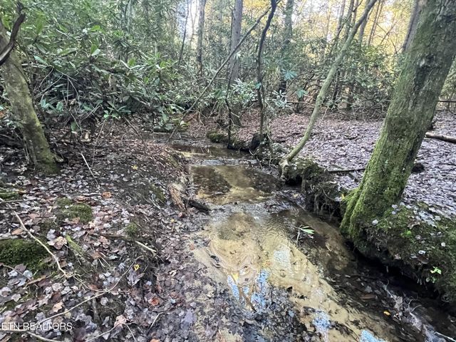 1453 Pickett Park Hwy, Jamestown, TN 38556