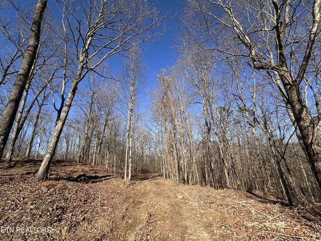 1453 Pickett Park Hwy, Jamestown, TN 38556