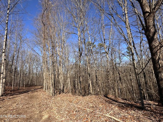 1453 Pickett Park Hwy, Jamestown, TN 38556