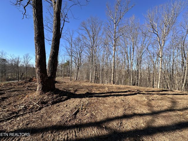 1453 Pickett Park Hwy, Jamestown, TN 38556