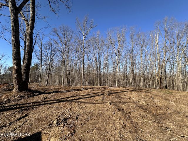 1453 Pickett Park Hwy, Jamestown, TN 38556