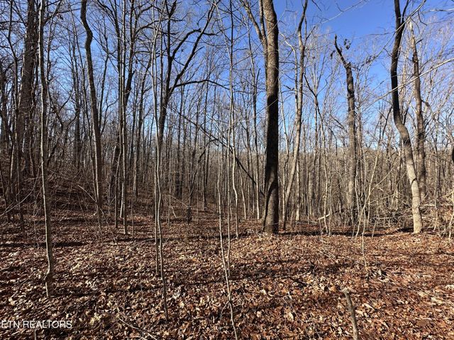 1453 Pickett Park Hwy, Jamestown, TN 38556