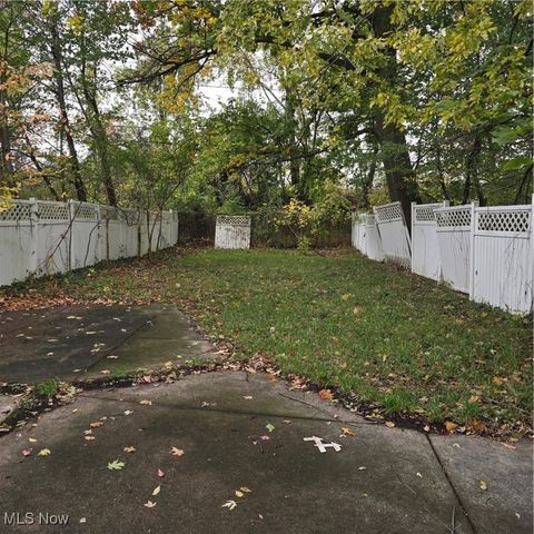 1534 E 133rd Street, Cleveland, OH 44112